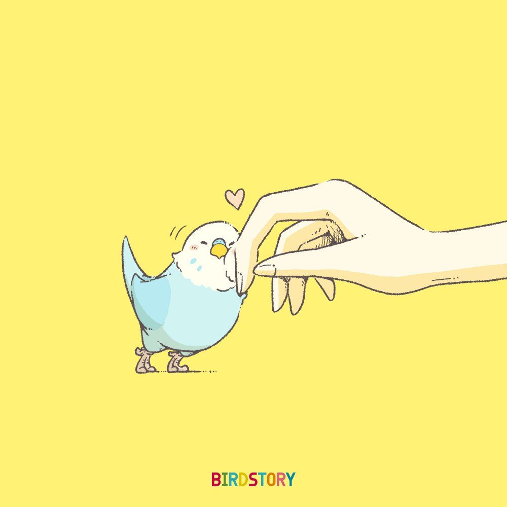 cute bird background 0015