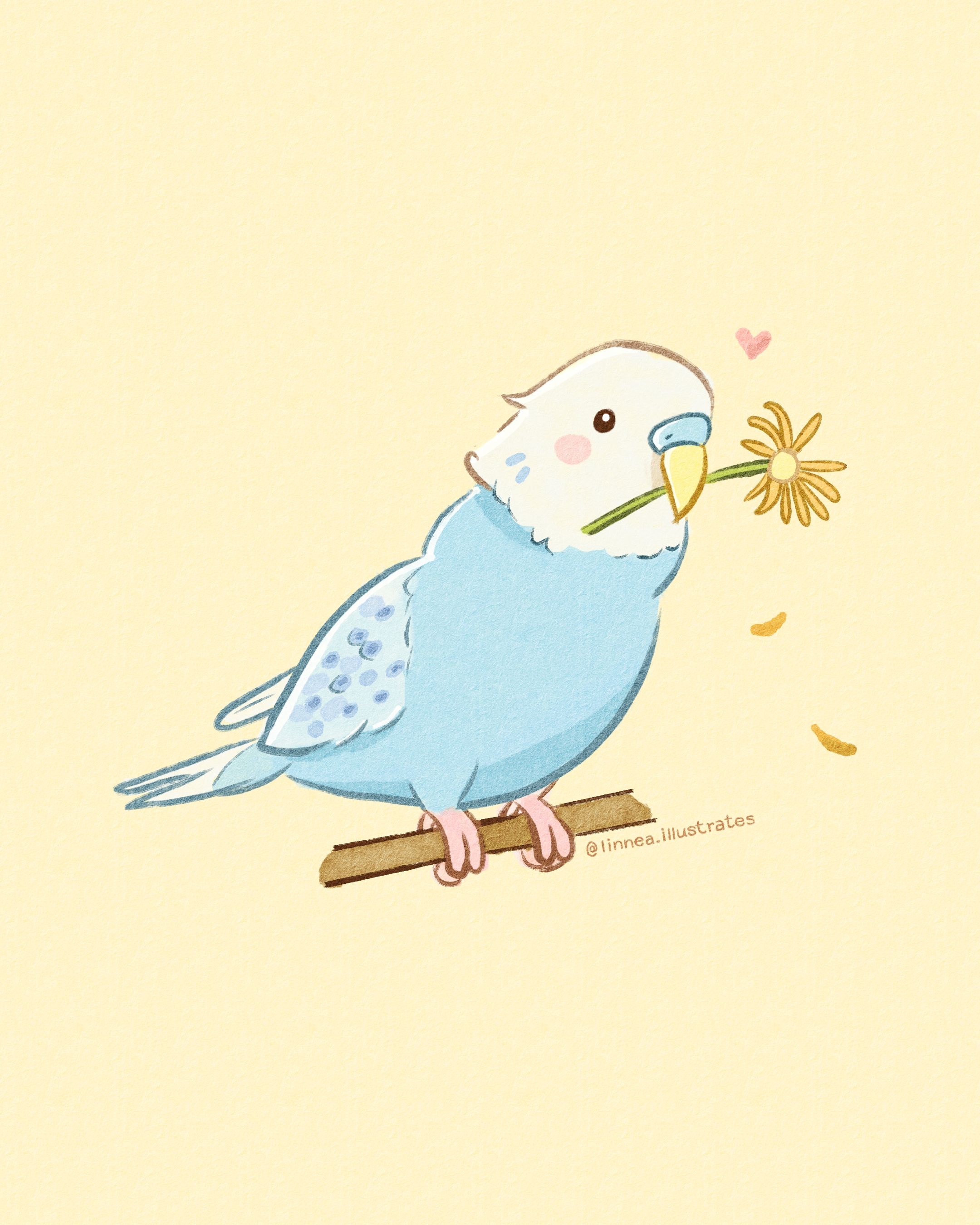 cute bird background 0030