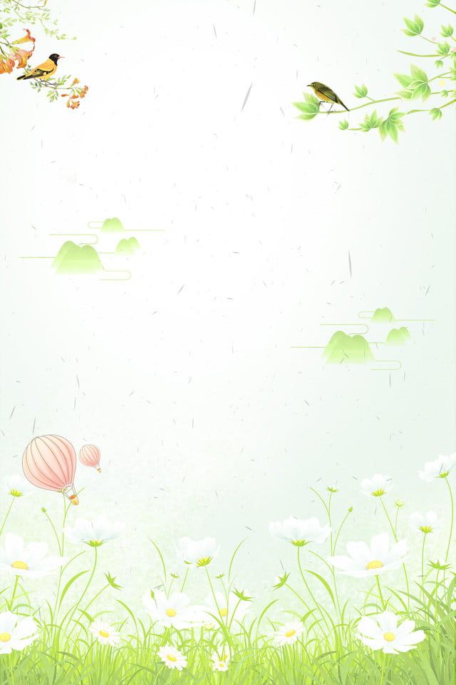 cute bird background 0033