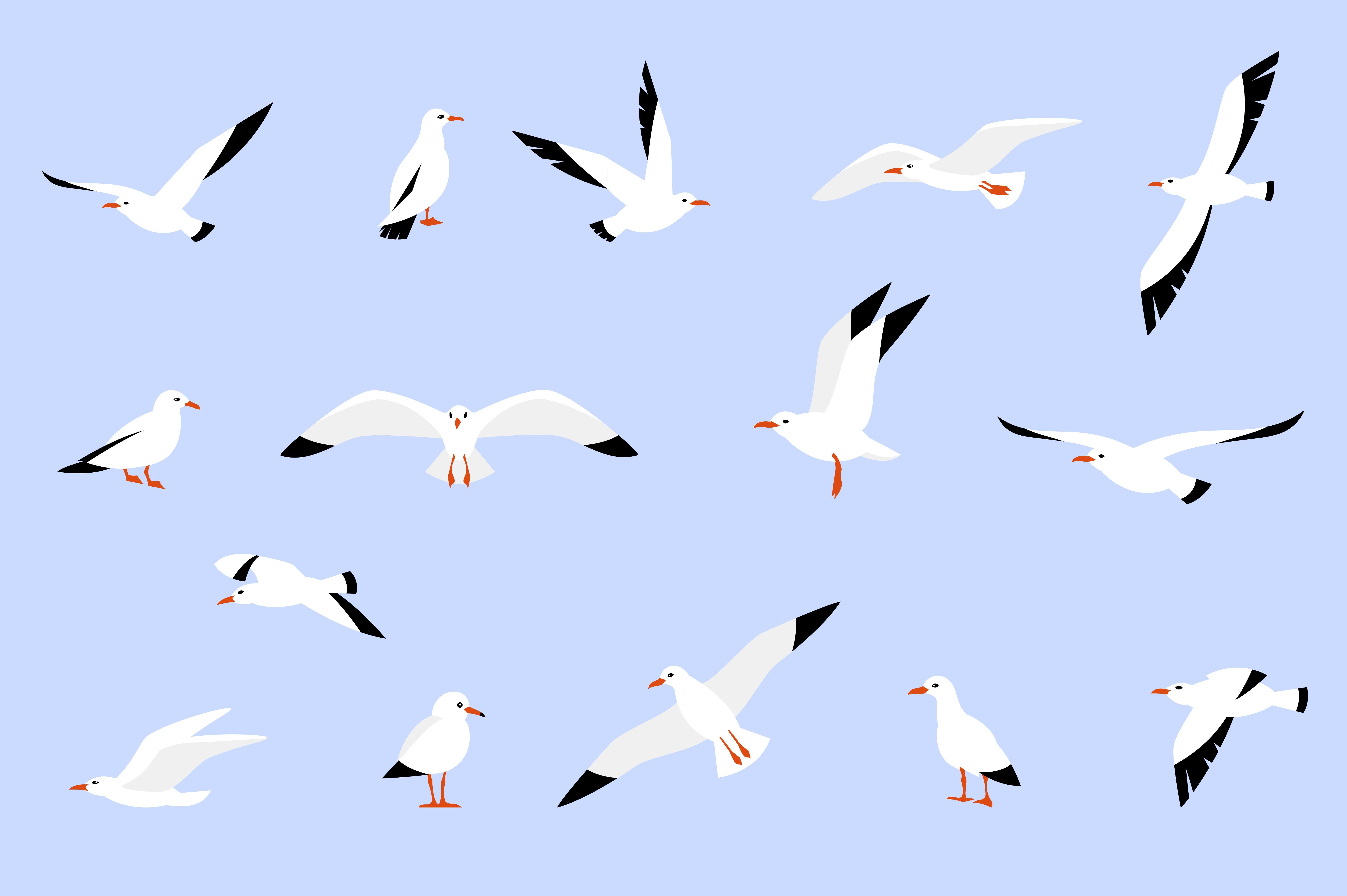 cute bird background 0052