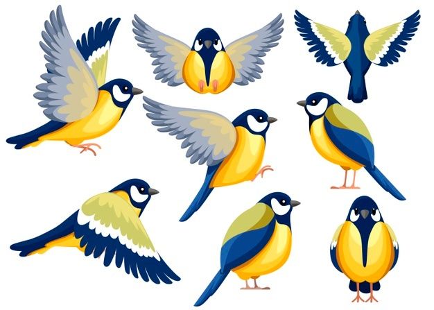 cute bird background 0085