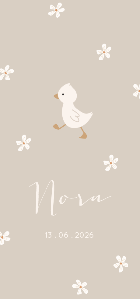 cute bird background 0097