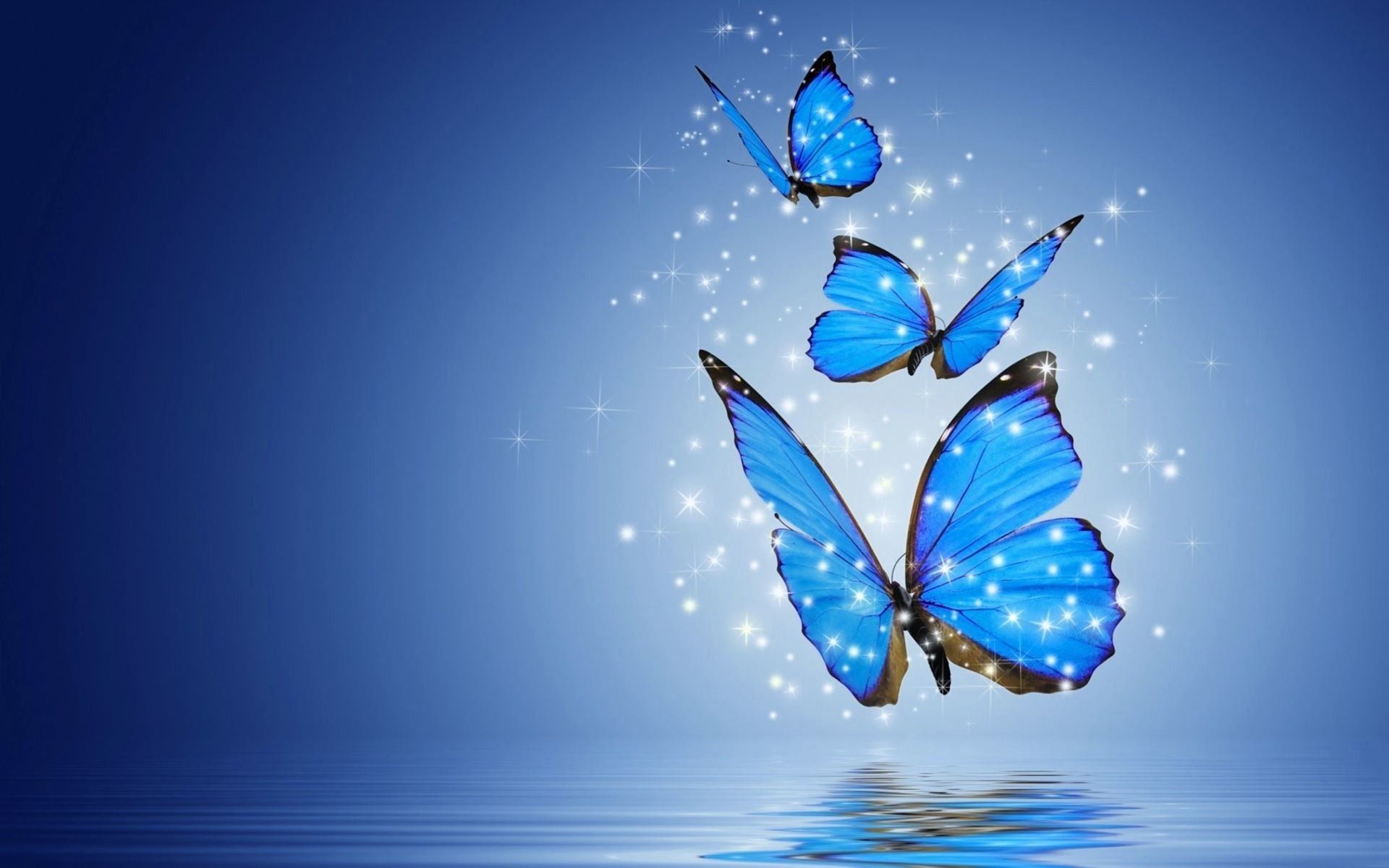 cute blue butterfly backgrounds 0010