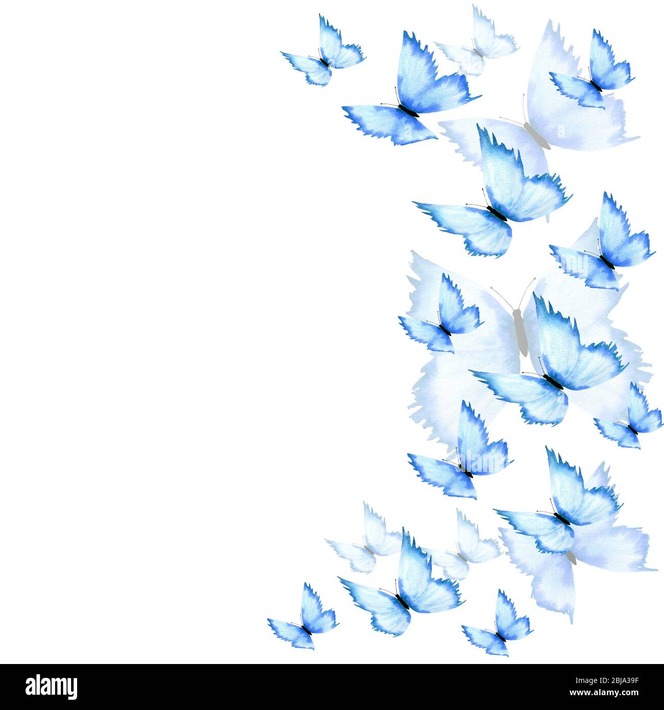 cute blue butterfly backgrounds 0012