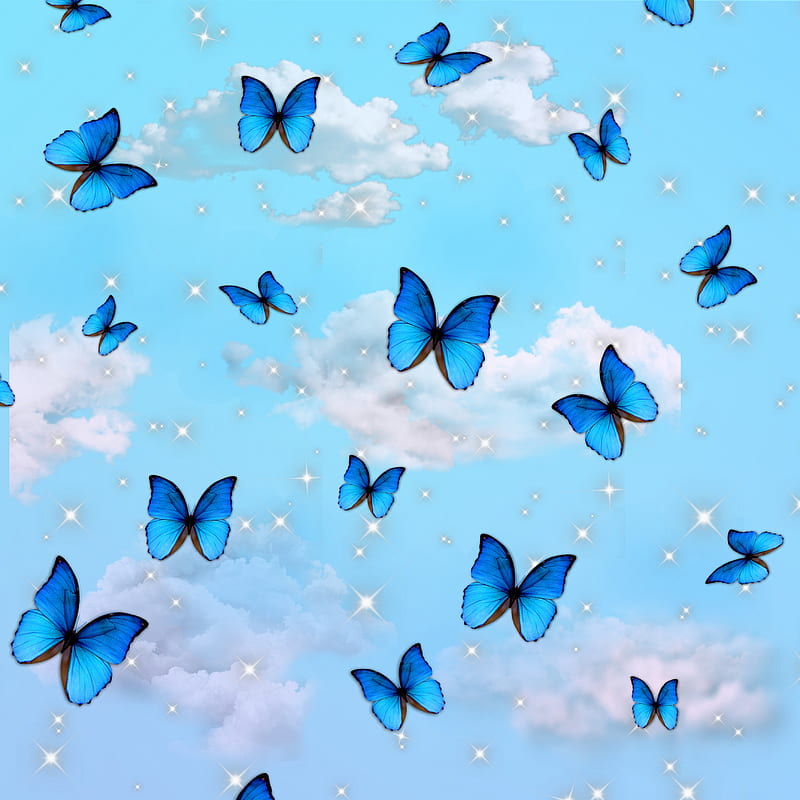 cute blue butterfly backgrounds 0014