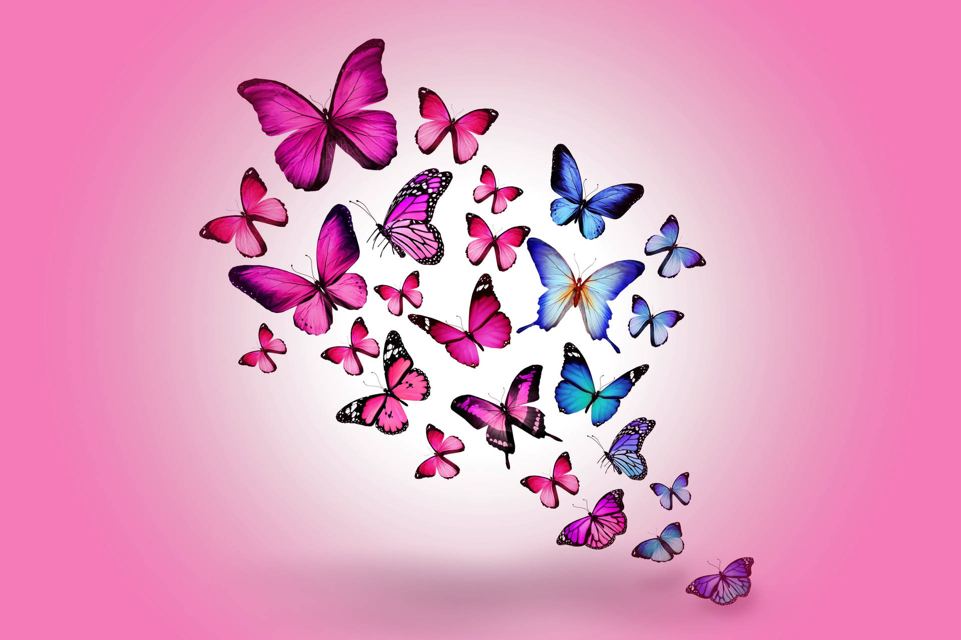 cute blue butterfly backgrounds 0027