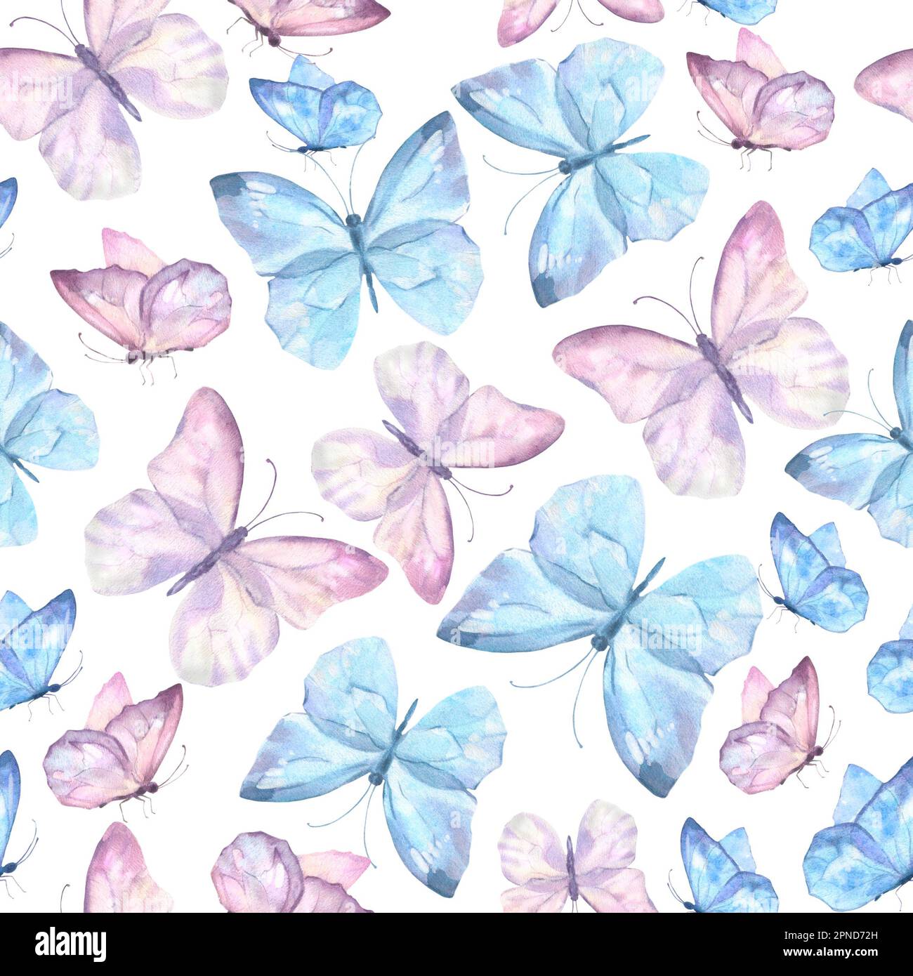 cute blue butterfly backgrounds 0029