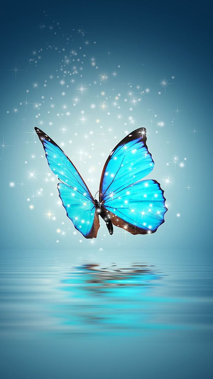 cute blue butterfly backgrounds 0031