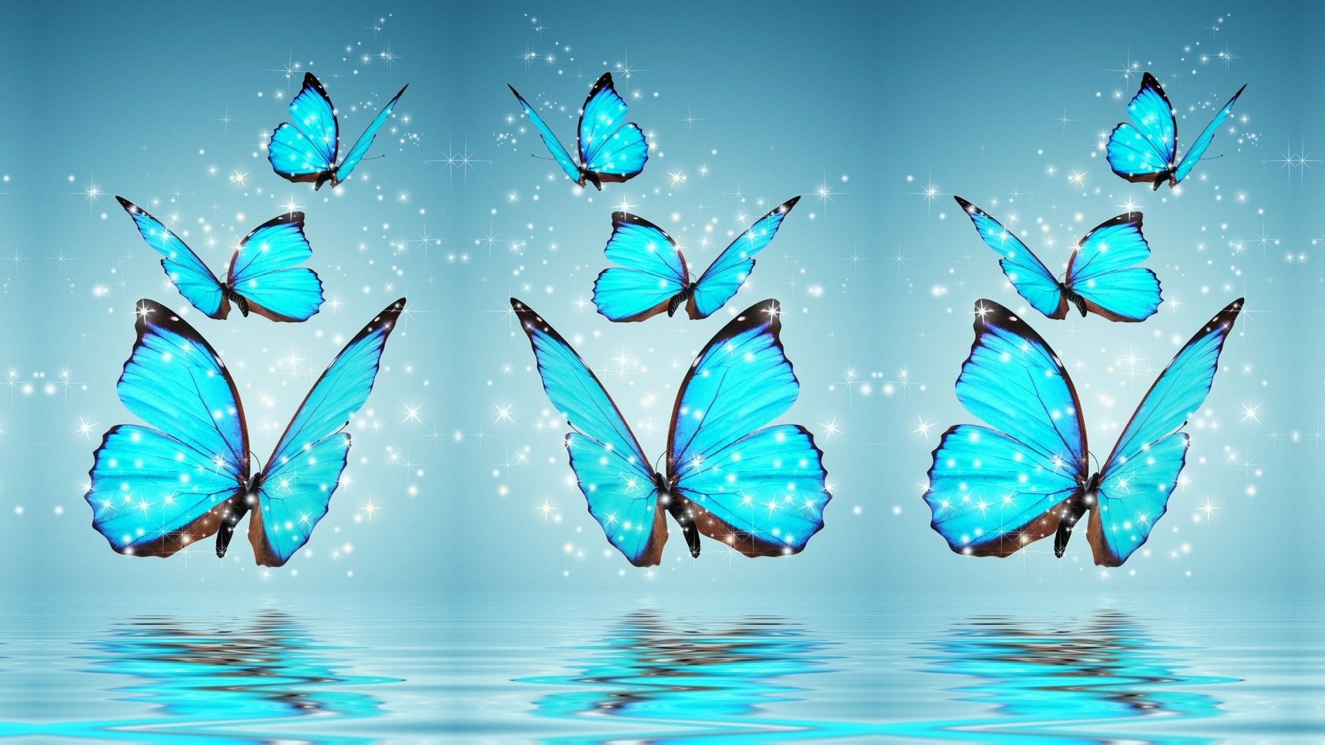 cute blue butterfly backgrounds 0032