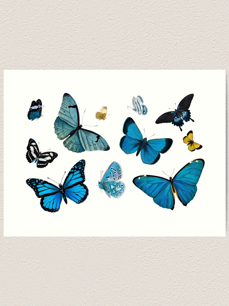 cute blue butterfly backgrounds 0033