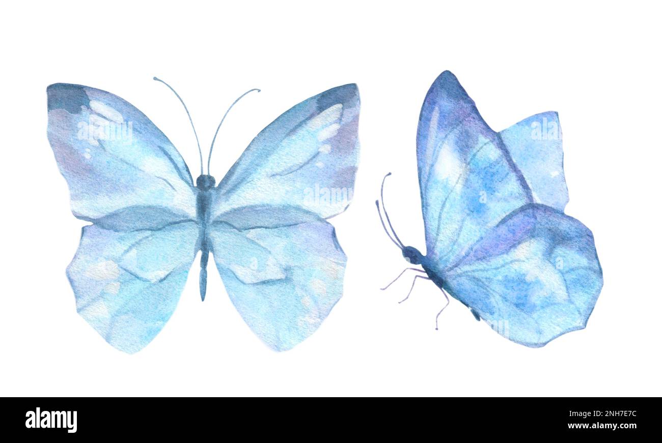 cute blue butterfly backgrounds 0039