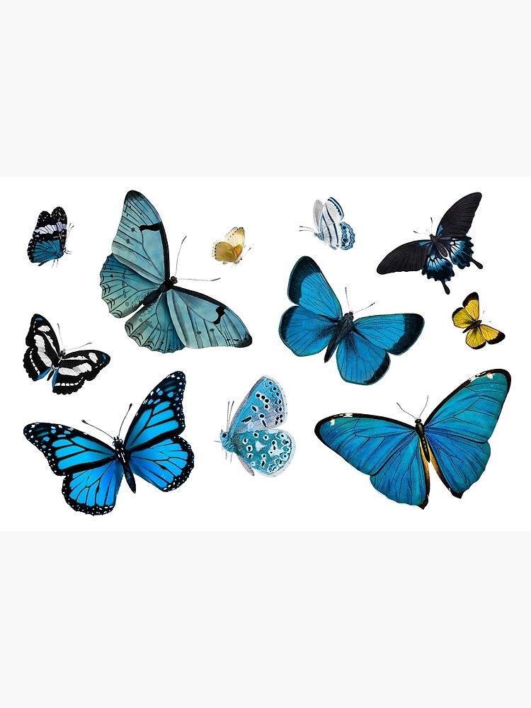 cute blue butterfly backgrounds 0040