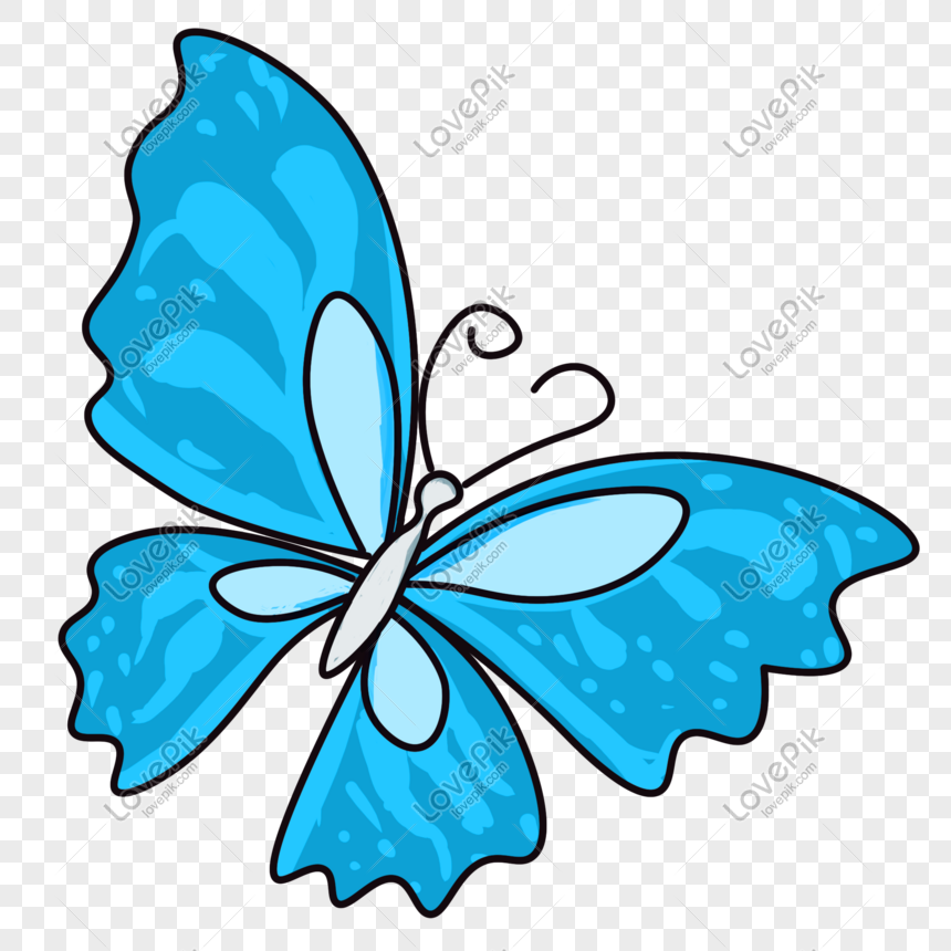 cute blue butterfly backgrounds 0043