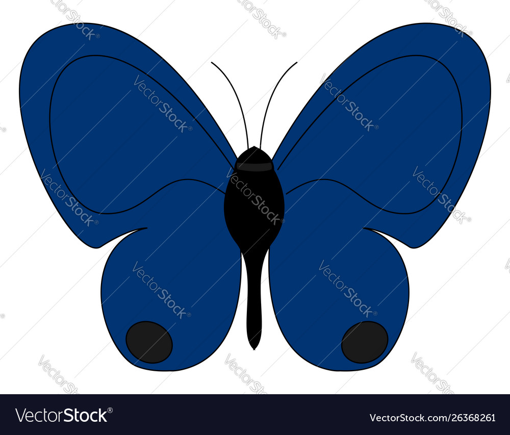 cute blue butterfly backgrounds 0045