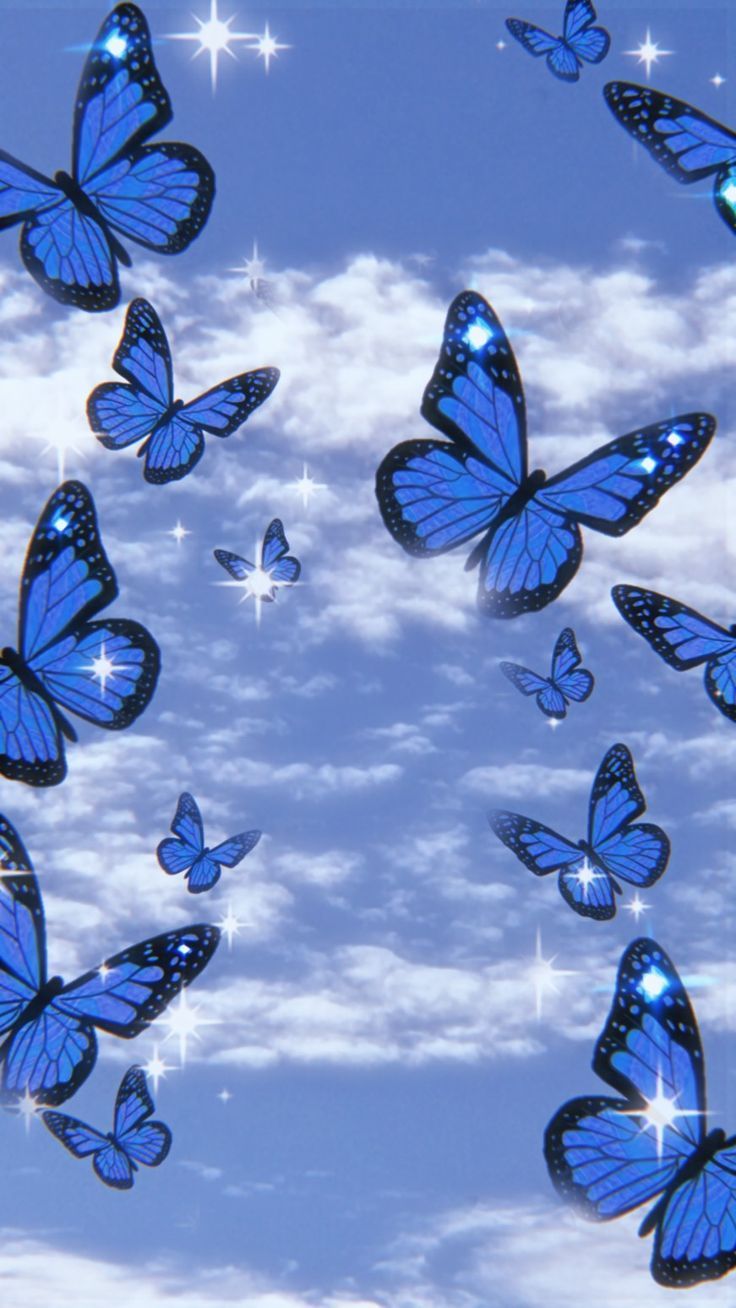 cute blue butterfly backgrounds 0046