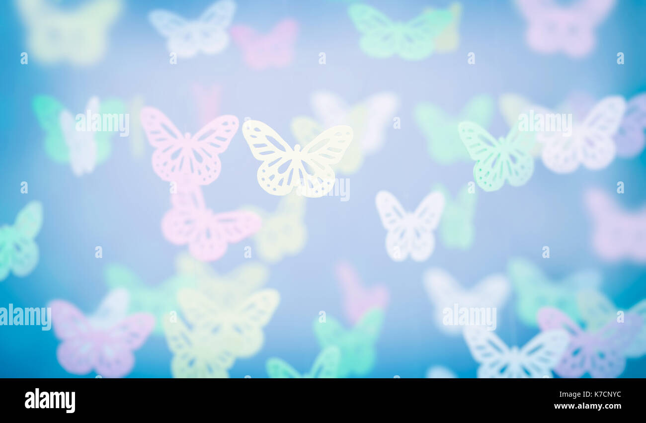 cute blue butterfly backgrounds 0048