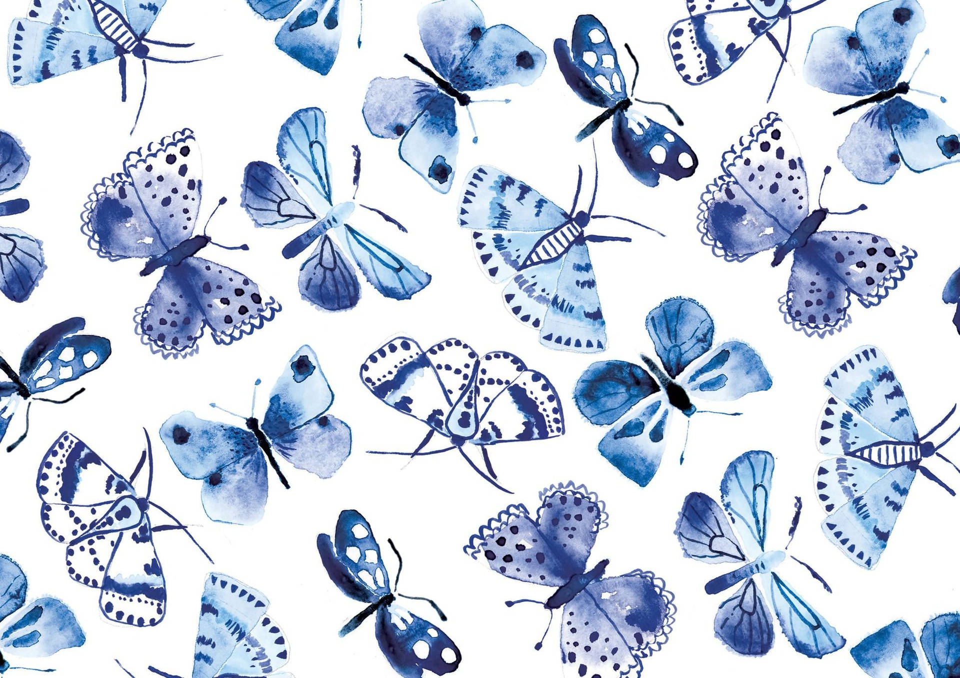 cute blue butterfly backgrounds 0049