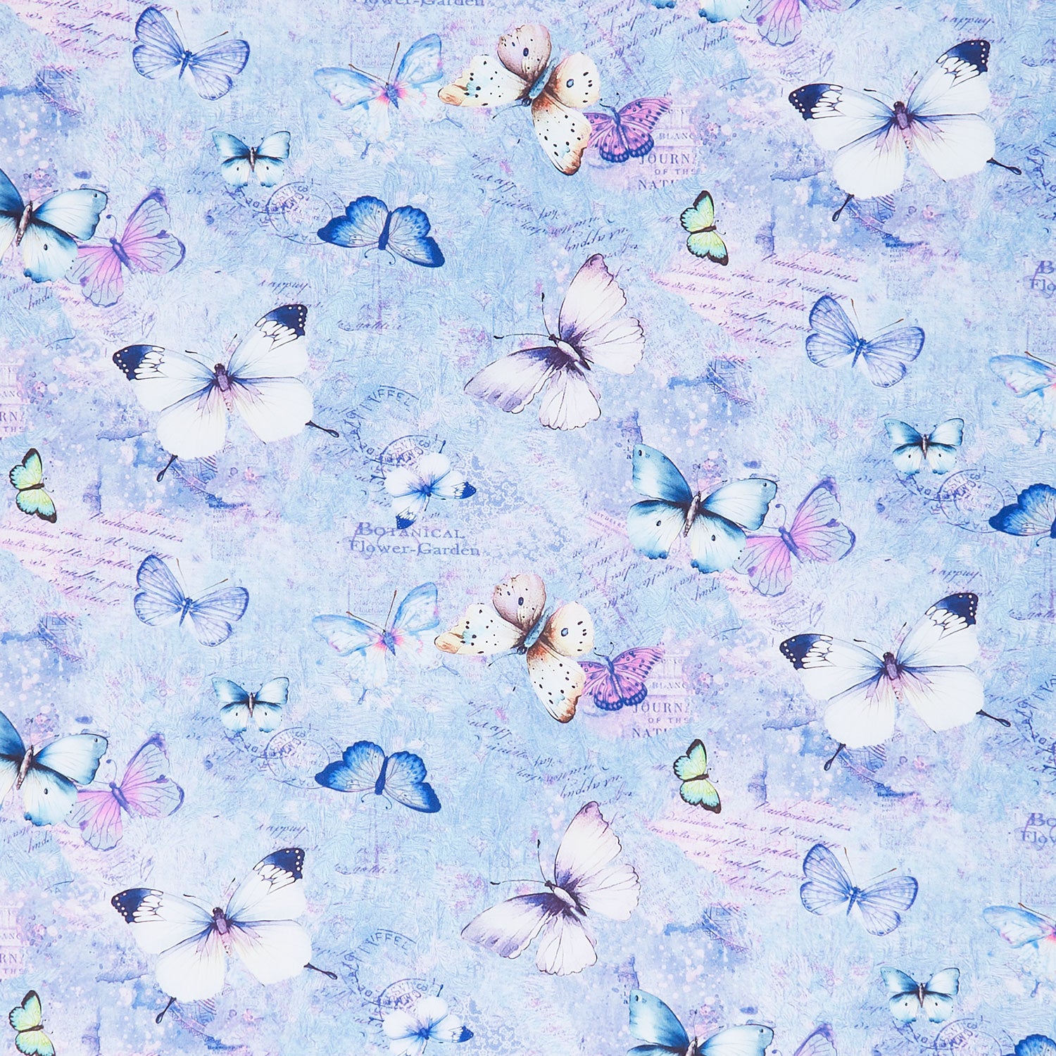 cute blue butterfly backgrounds 0051