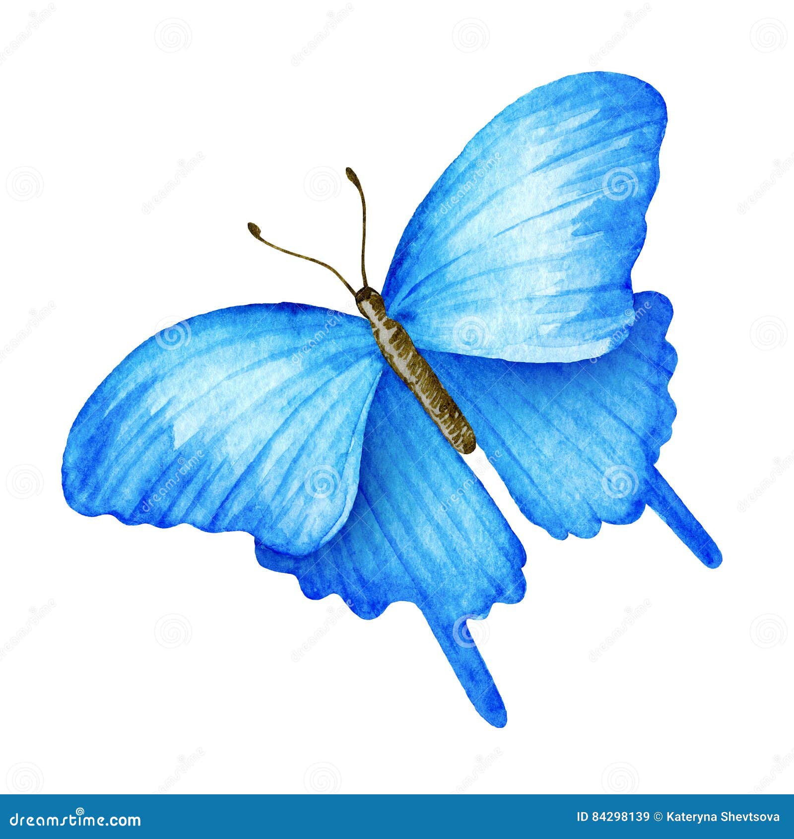 cute blue butterfly backgrounds 0057