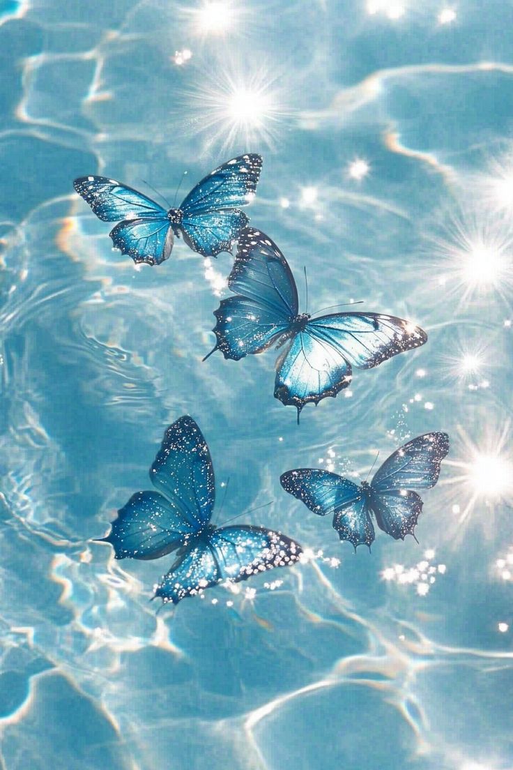 cute blue butterfly backgrounds 0058