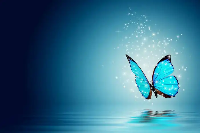 cute blue butterfly backgrounds 0061