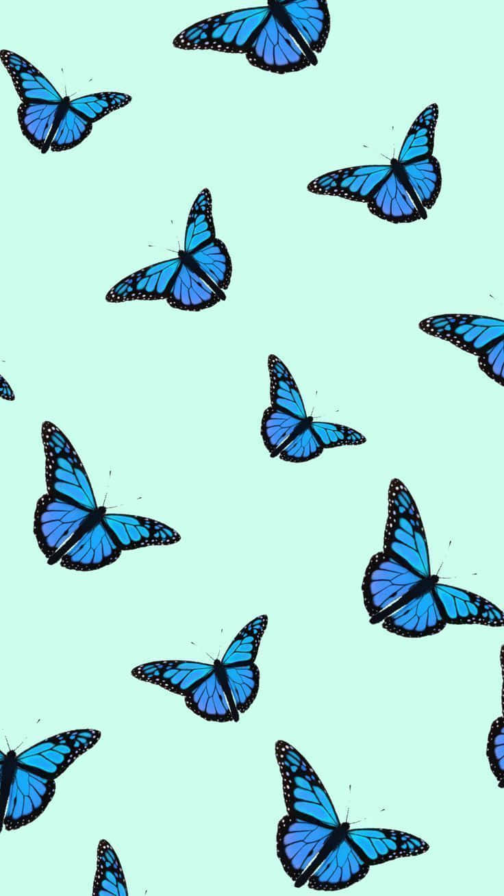 cute blue butterfly backgrounds 0062