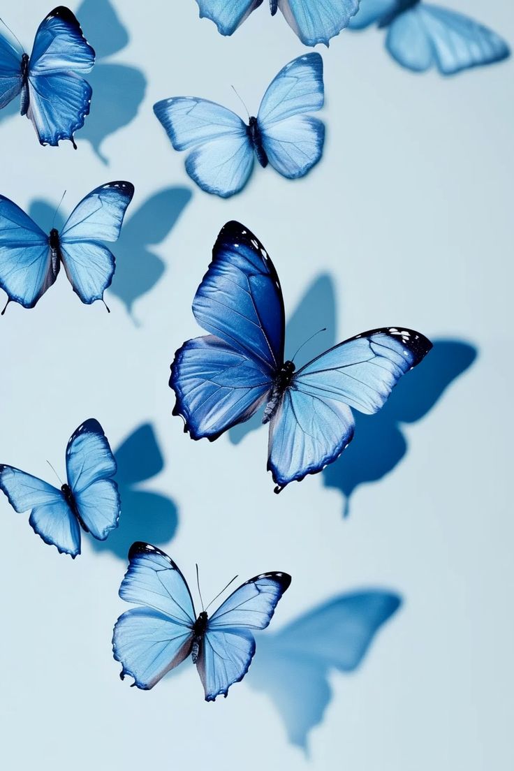 cute blue butterfly backgrounds 0066