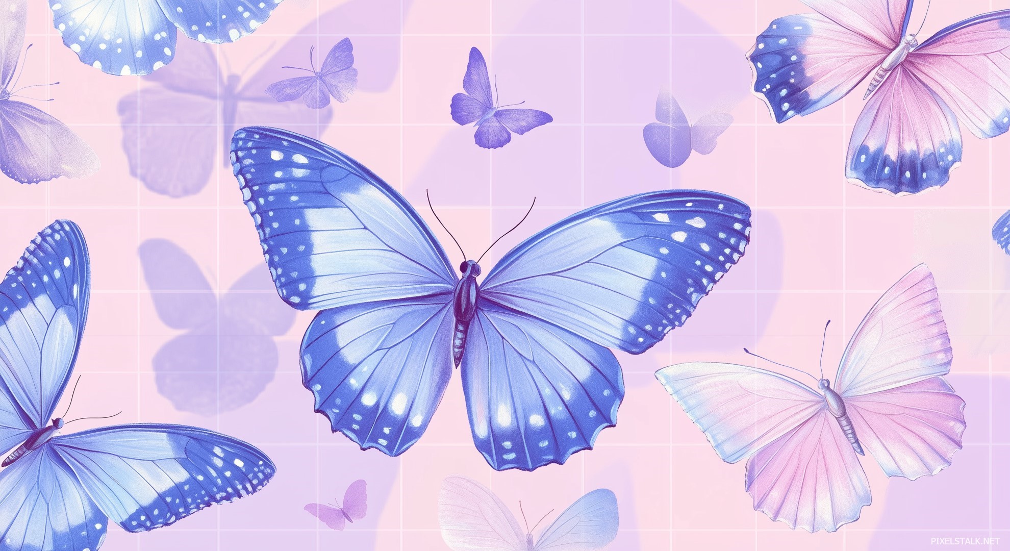 cute blue butterfly backgrounds 0067