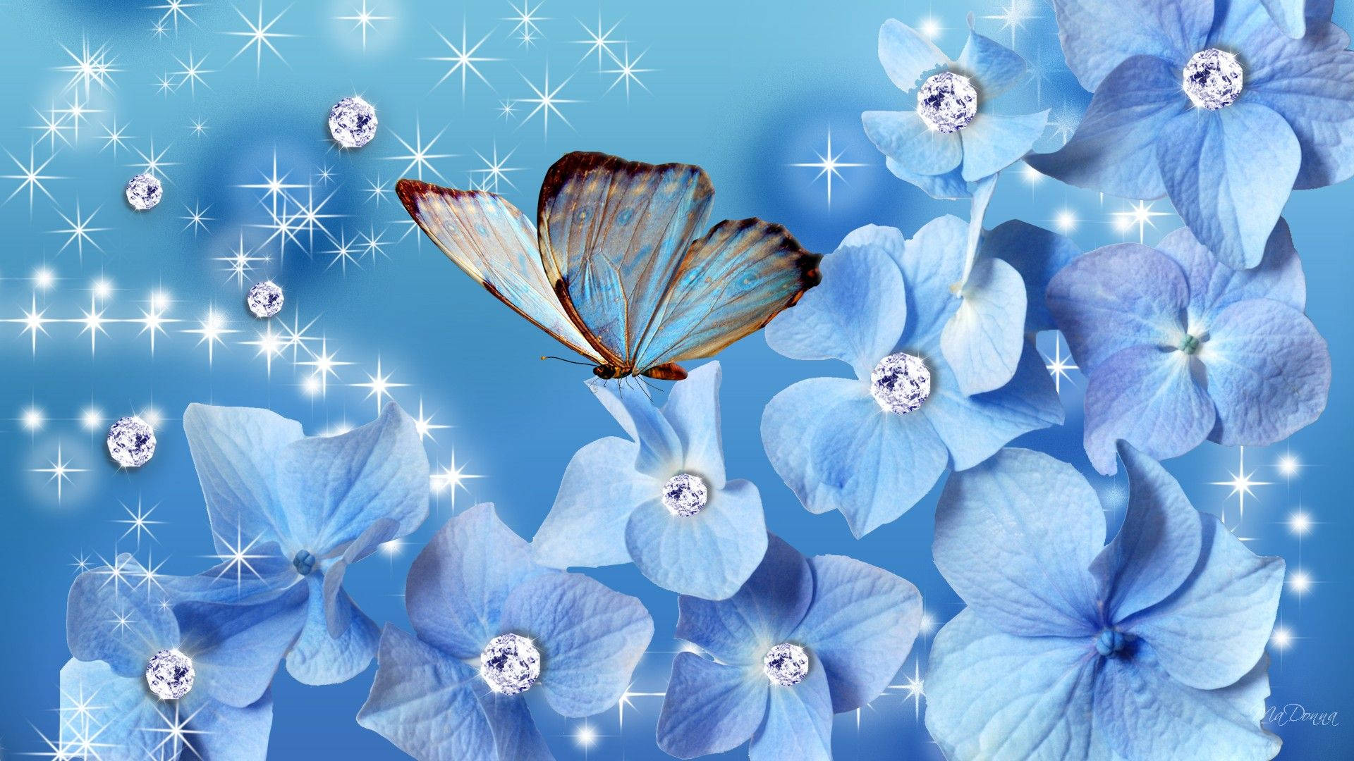 cute blue butterfly backgrounds 0068