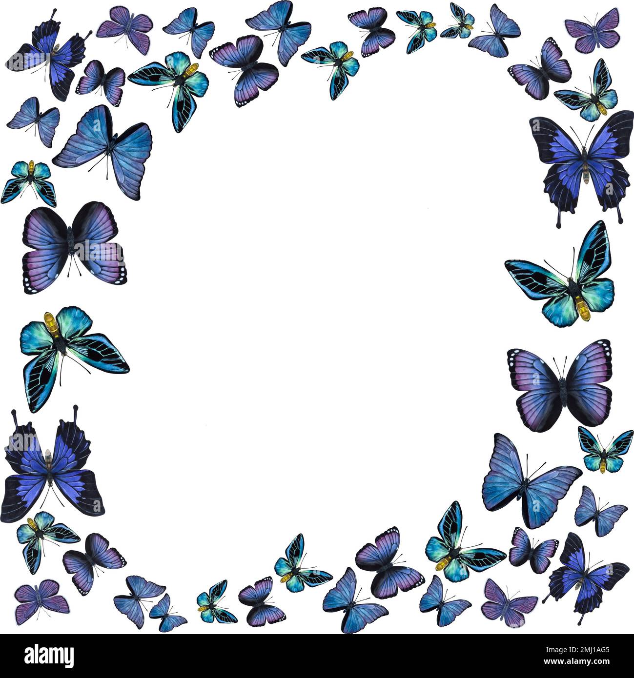 cute blue butterfly backgrounds 0084