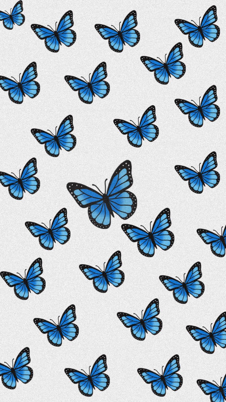 cute blue butterfly backgrounds 0087