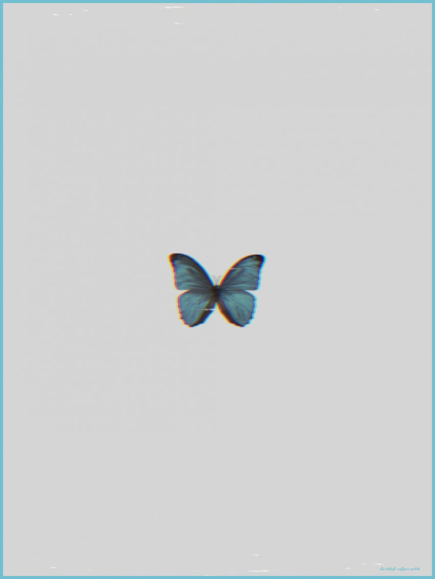 cute blue butterfly backgrounds 0093