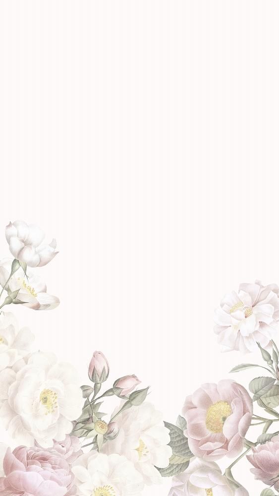 cute border background design 0032