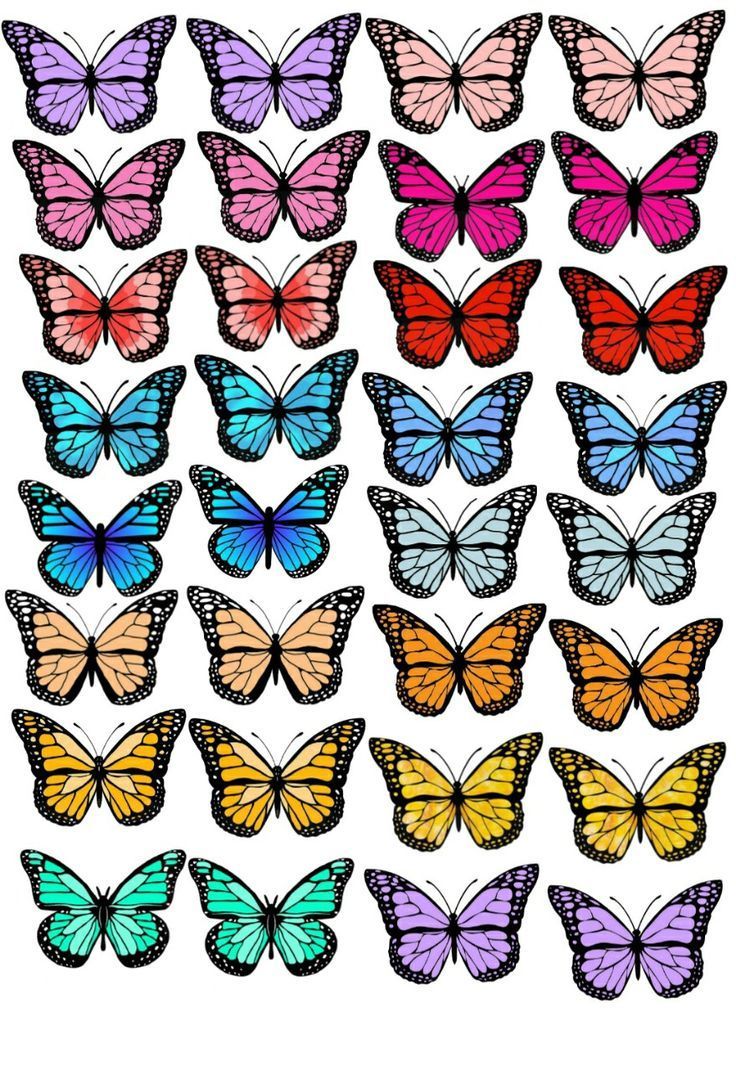 cute butterfly backgrounds 0013