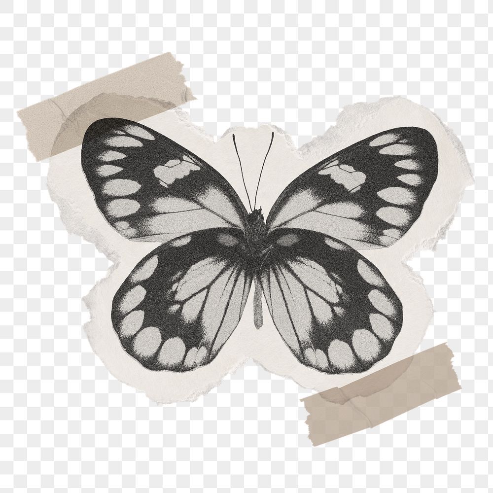 cute butterfly backgrounds 0017