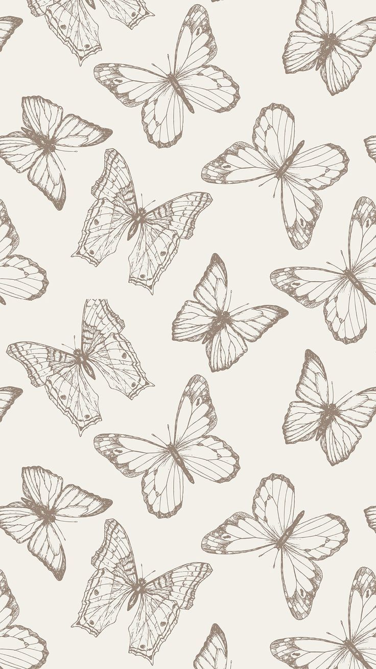 cute butterfly backgrounds 0022