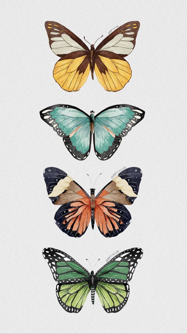 cute butterfly backgrounds 0029