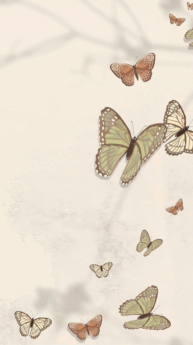 cute butterfly backgrounds 0041