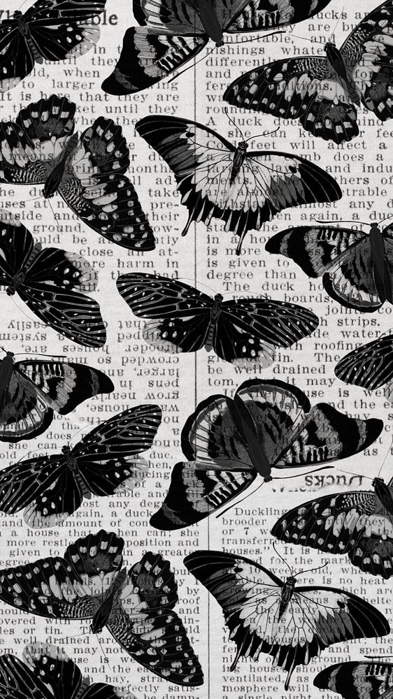 cute butterfly backgrounds 0051