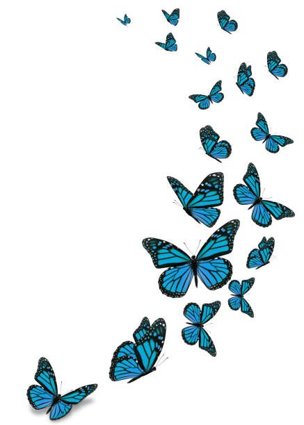 cute butterfly backgrounds 0053