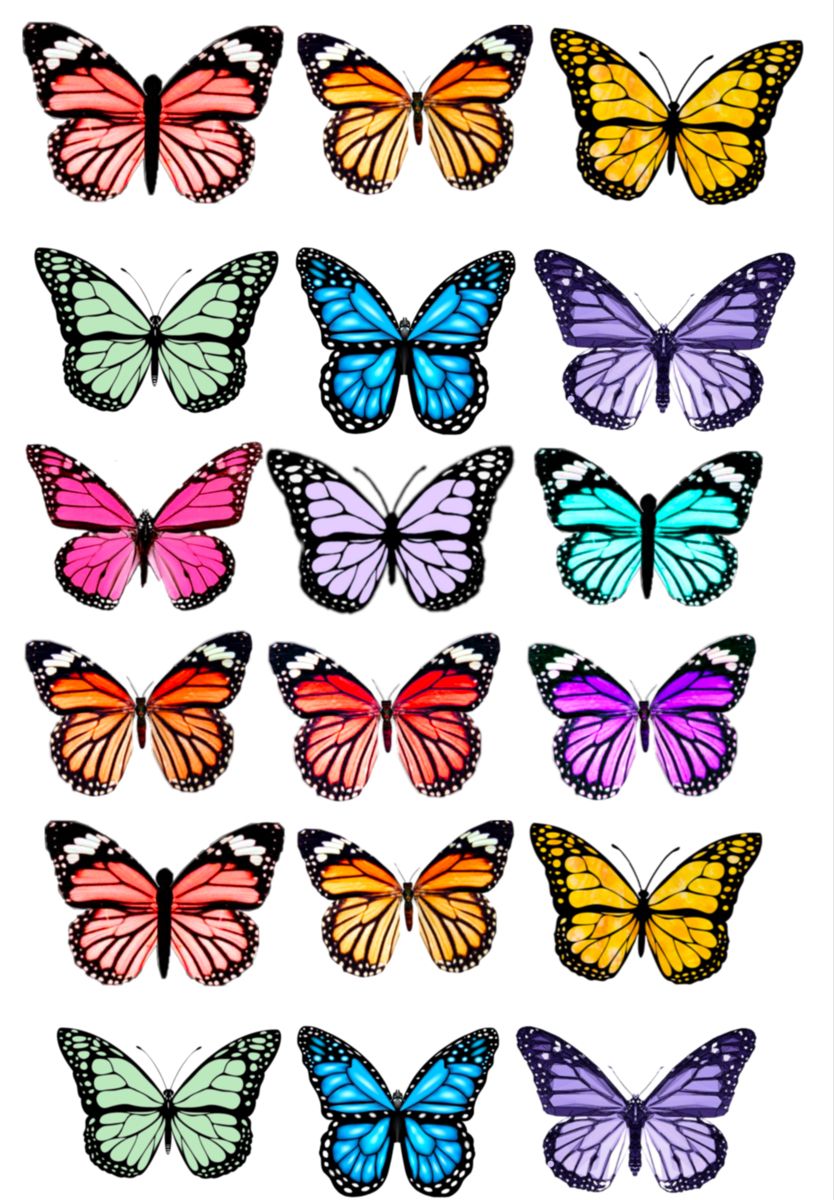 cute butterfly backgrounds 0063