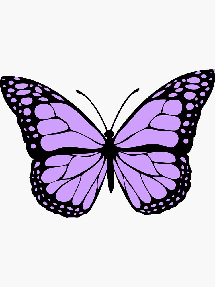 cute butterfly backgrounds 0065