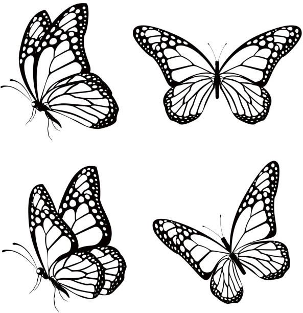 cute butterfly backgrounds 0072