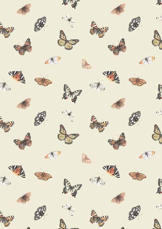 cute butterfly backgrounds 0079