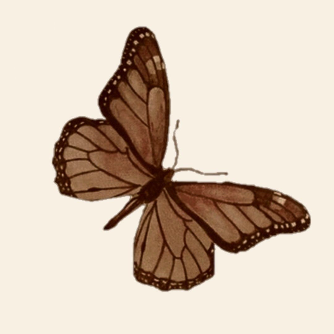 cute butterfly backgrounds 0081