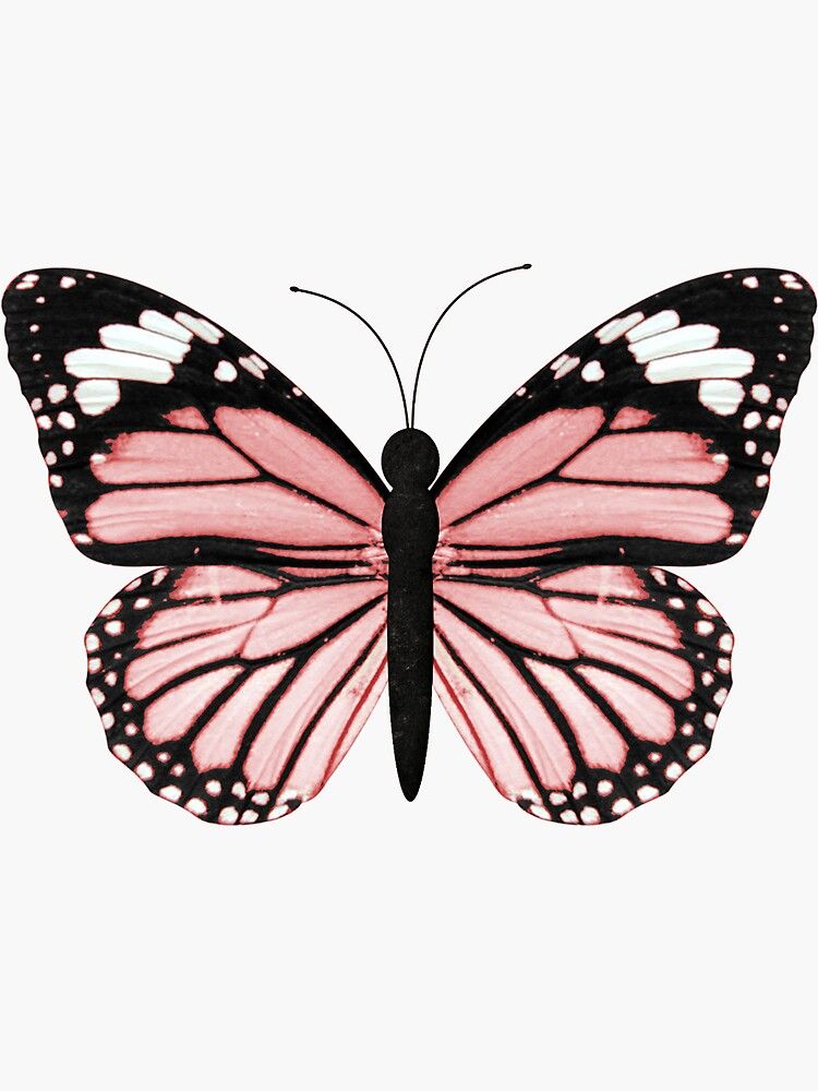 cute butterfly backgrounds 0082