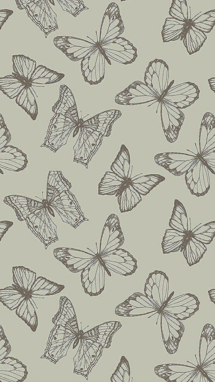 cute butterfly backgrounds 0090