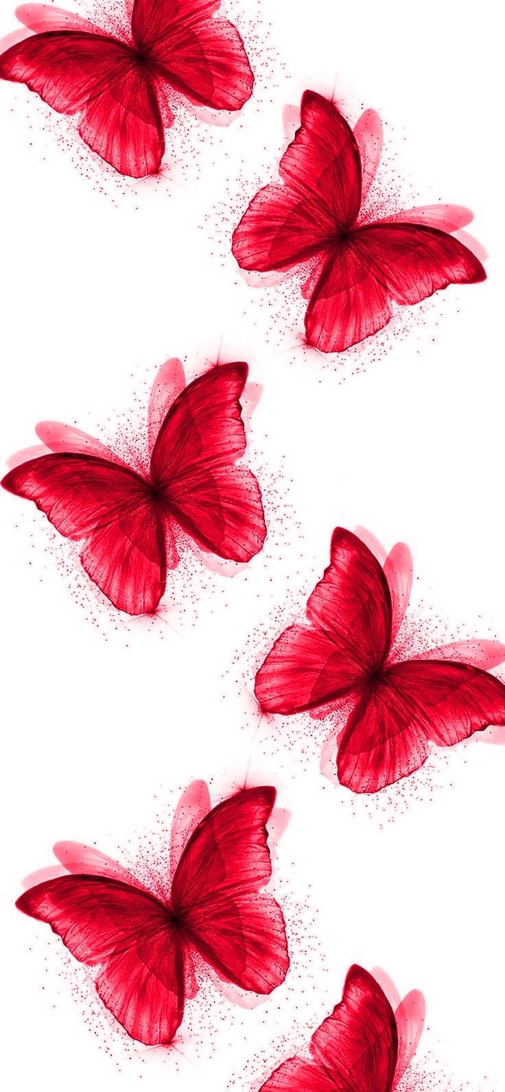 cute butterfly backgrounds 0099