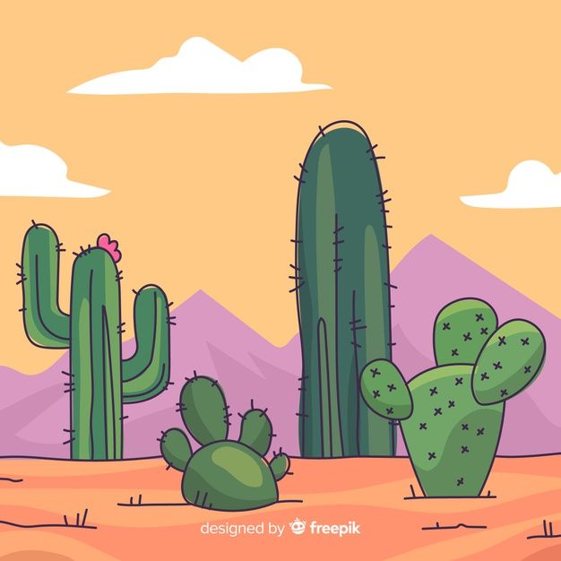 cute cactus backgrounds 0010