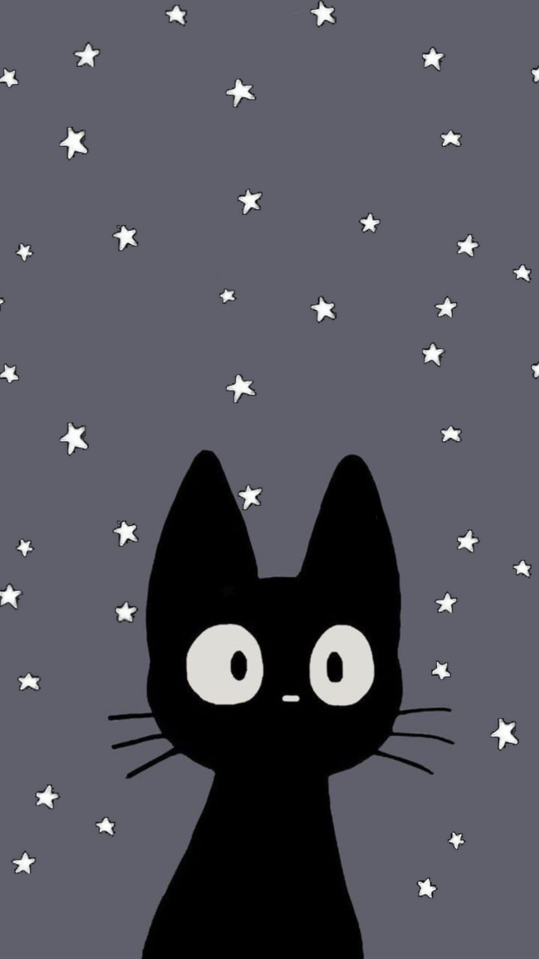 cute cat black background for wallpapers